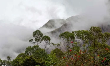 Kerala Munnar Tour