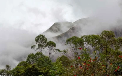 Kerala in November: Best Places to Visit, Things to Do & Travel Tips