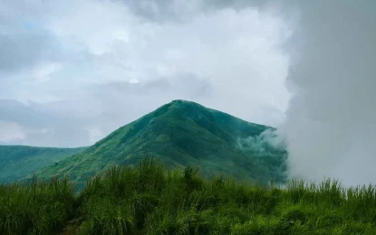 Eco-Tourism in Kerala: Sustainable Travel Ideas