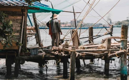 Top Places to Visit in Kochi – A Comprehensive Guide to Kochi’s Best Attractions