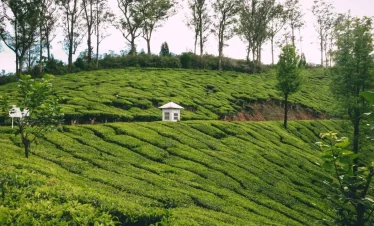 a small white building on a green hill