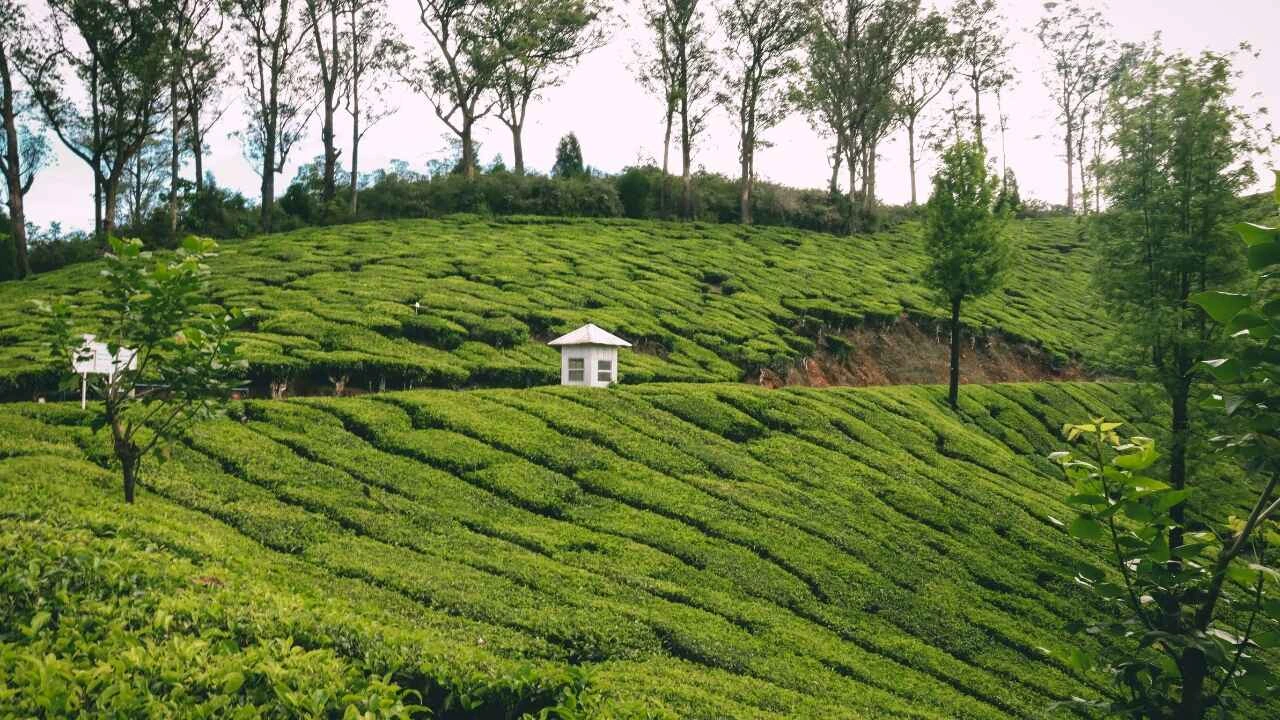 a small white building on a green hill