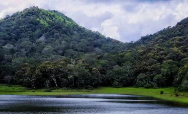 Scenic Periyar River landscape in Thekkady, Kerala