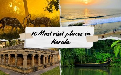 Top 10 Must-Visit Destinations in Kerala