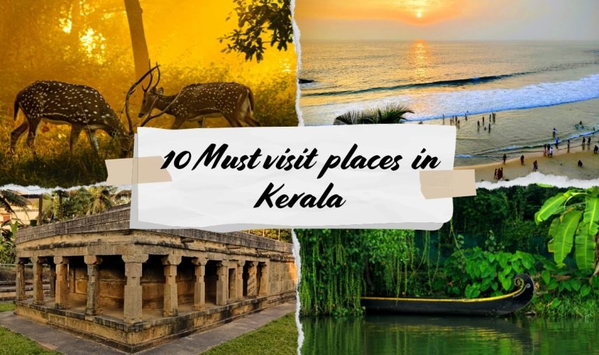 Top 10 Must-Visit Destinations in Kerala