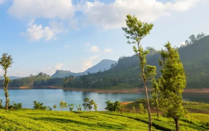 How to Experience Kerala’s Tea & Coffee Plantations