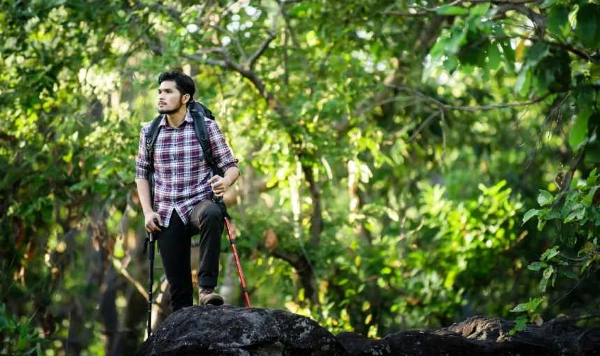 The Ultimate Guide to Kerala’s Hill Stations
