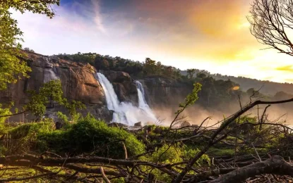 7 Best Waterfalls in Kerala: A Complete Travel Guide for Nature Lovers