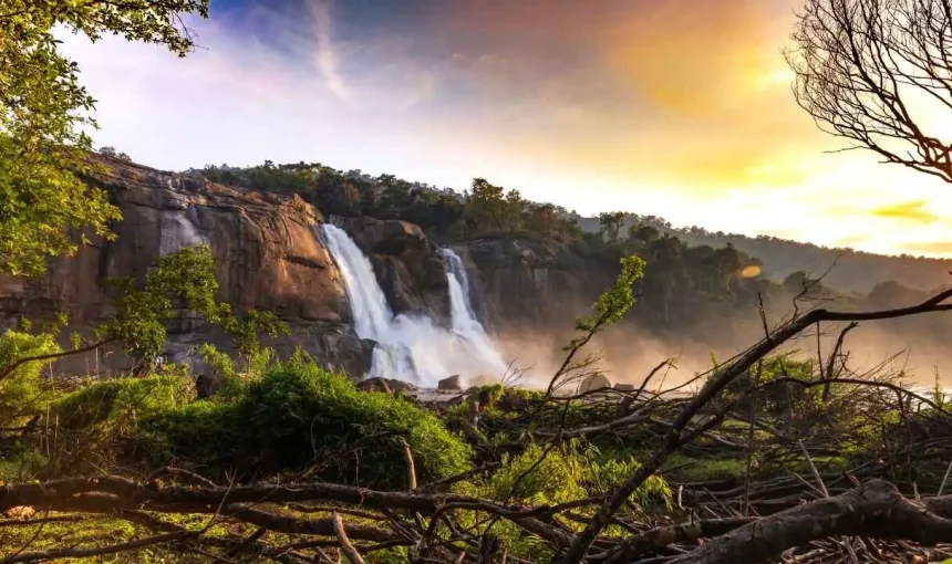 7 Best Waterfalls in Kerala: A Complete Travel Guide for Nature Lovers
