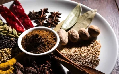 Kerala’s Spice Plantations: A Sensory Journey