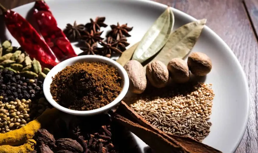 Kerala’s Spice Plantations: A Sensory Journey