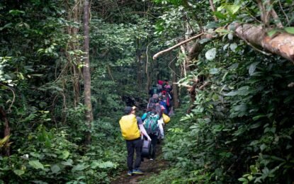 Trekking Places in Kerala: 10 Best Trails for Adventure and Nature Lovers