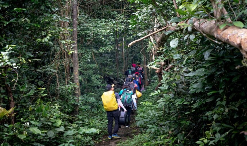 Trekking Places in Kerala: 10 Best Trails for Adventure and Nature Lovers
