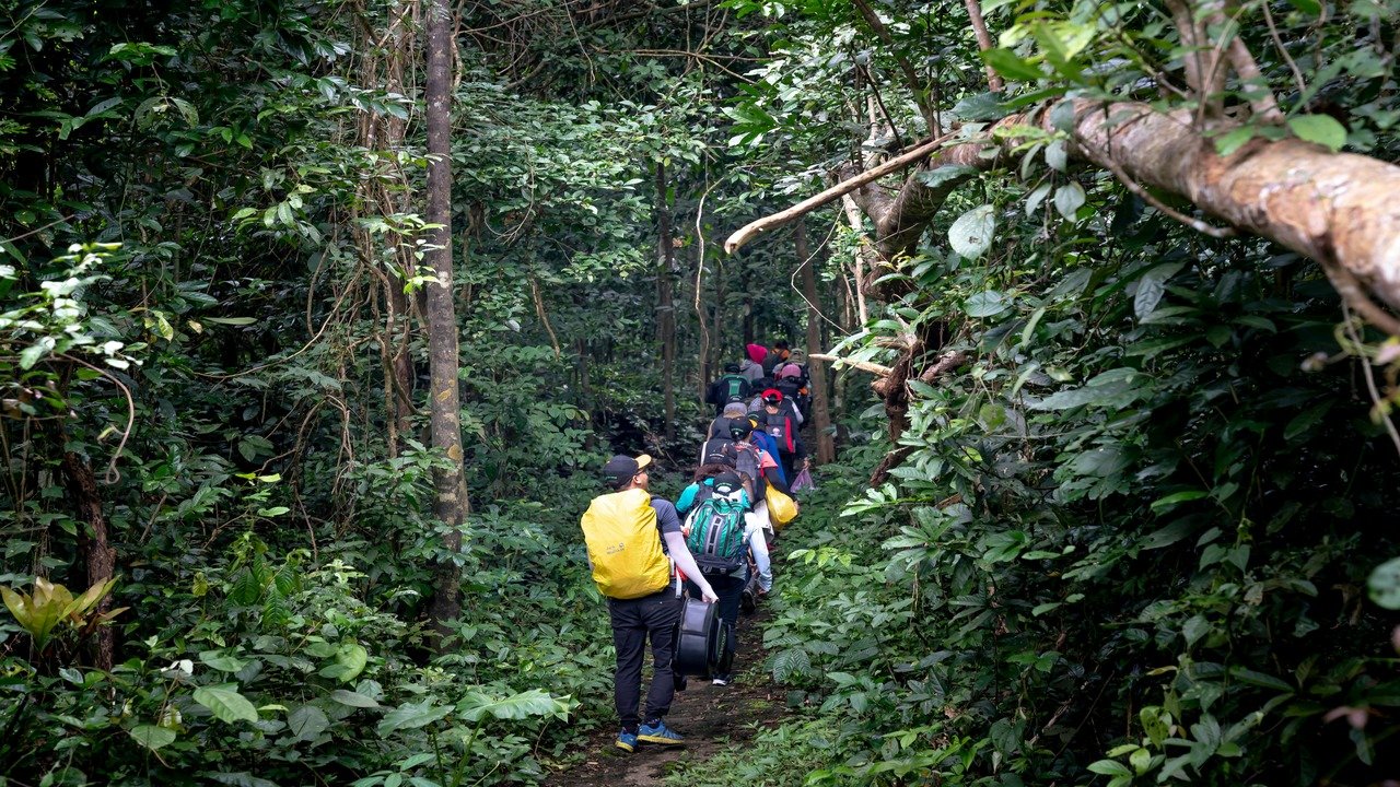 Trekking-Places-in-Kerala.jpg
