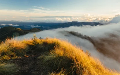 Kolukkumalai Travel Guide: Sunrise, Trek, Tea Estate & How to Visit