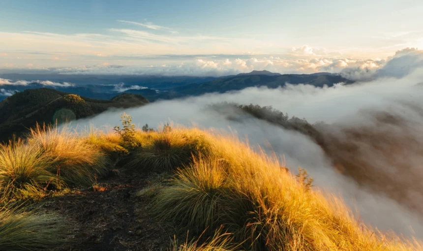 Kolukkumalai Travel Guide: Sunrise, Trek, Tea Estate & How to Visit