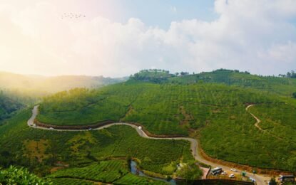 Places To Visit In Vagamon: A Complete Travel Guide to Kerala’s Hidden Hill Station