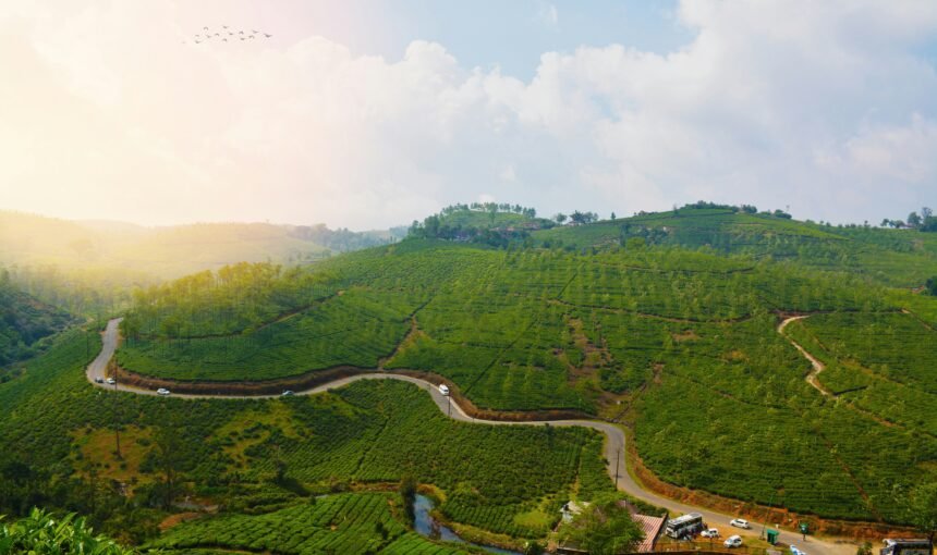 Places To Visit In Vagamon: A Complete Travel Guide to Kerala’s Hidden Hill Station