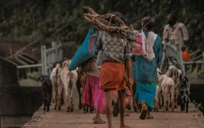 Kerala’s Tribal Villages: Discover the Hidden Cultures and Traditions Still Alive Today