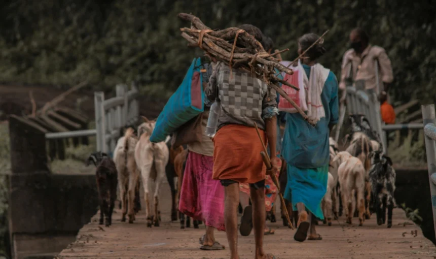 Kerala’s Tribal Villages: Discover the Hidden Cultures and Traditions Still Alive Today