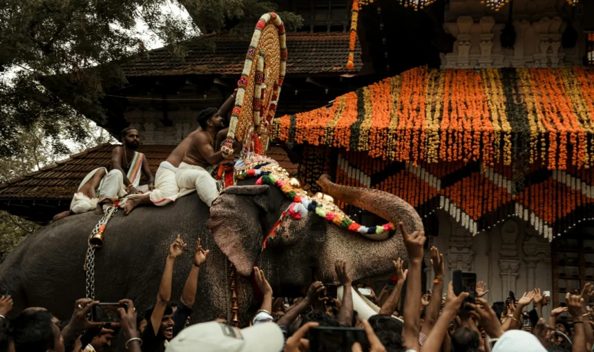 Thrissur Pooram – Kerala’s Most Spectacular Temple Festival