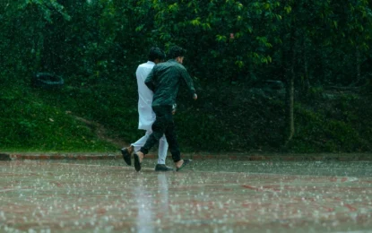 Monsoon in Kerala: Best Places, Travel Tips & Why the Rainy Season Feels Magical
