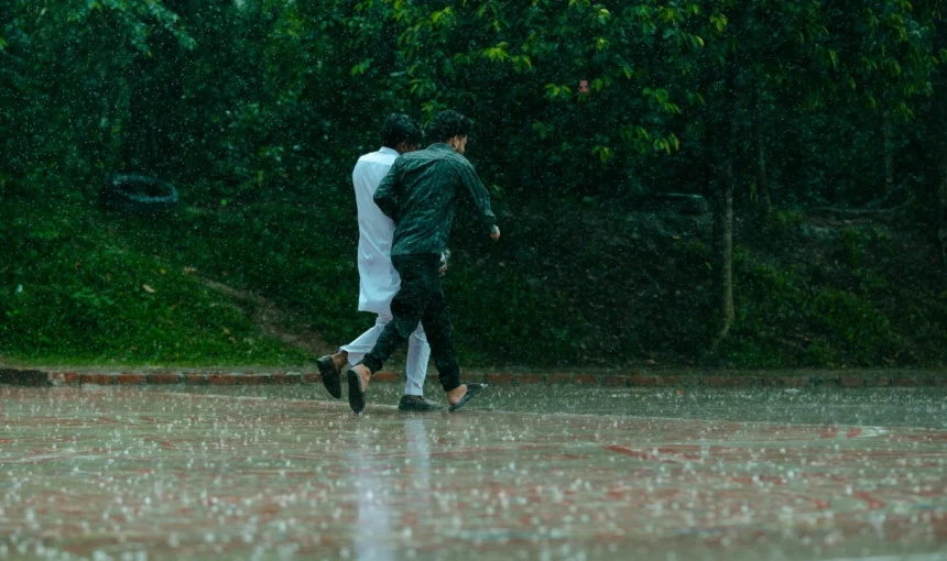 Monsoon in Kerala: Best Places, Travel Tips & Why the Rainy Season Feels Magical