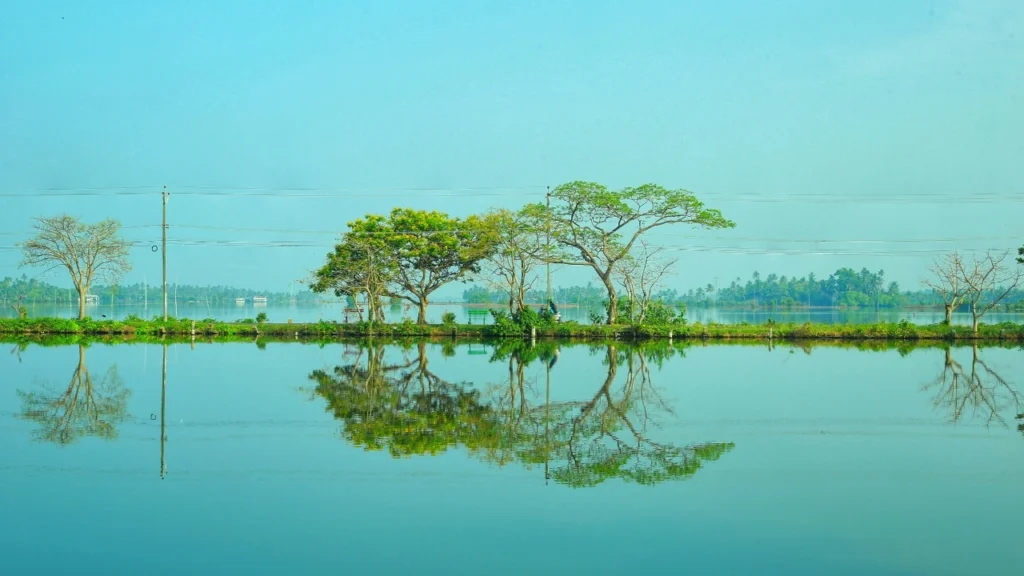 Peaceful backwater landscape in Kumbalangi village Kerala