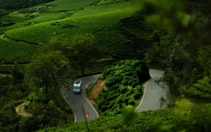 Why Wayanad Is One of the Most Beautiful Tourist Destinations in Kerala