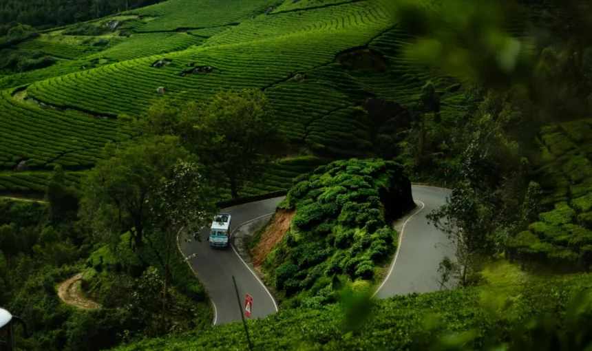 Why Wayanad Is One of the Most Beautiful Tourist Destinations in Kerala