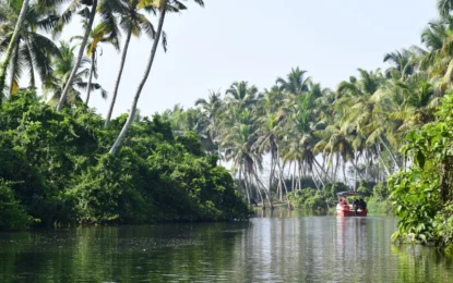 Poovar Island: Discover Kerala’s Hidden Backwater Paradise