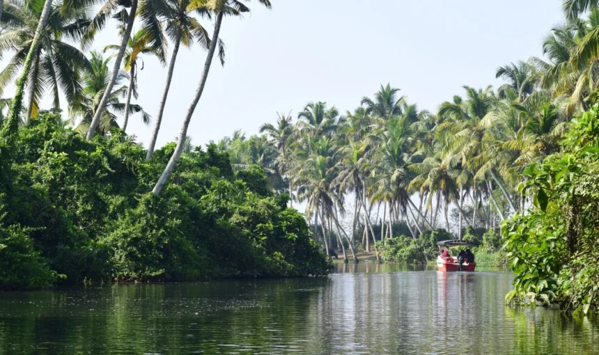 Poovar Island: Discover Kerala’s Hidden Backwater Paradise