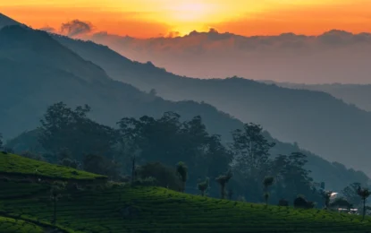 17+ Best Things to Do in Munnar: Nature, Adventure & Complete Travel Guide