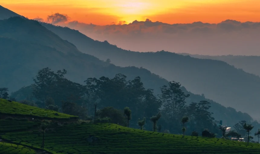 17+ Best Things to Do in Munnar: Nature, Adventure & Complete Travel Guide