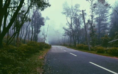 Ponmudi Hill Station: Best Places to Visit, Things to Do & Complete Travel Guide