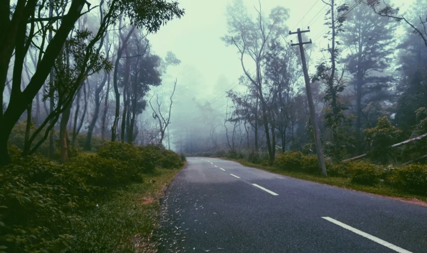 Ponmudi Hill Station: Best Places to Visit, Things to Do & Complete Travel Guide