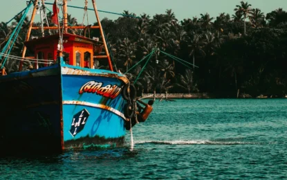 7 Famous Fishing Harbours in Kerala: Experience the State’s Vibrant Coastal Life