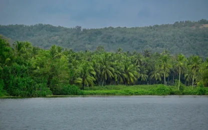 Kerala’s Rivers: The Waterways That Shaped Its Landscape and Life