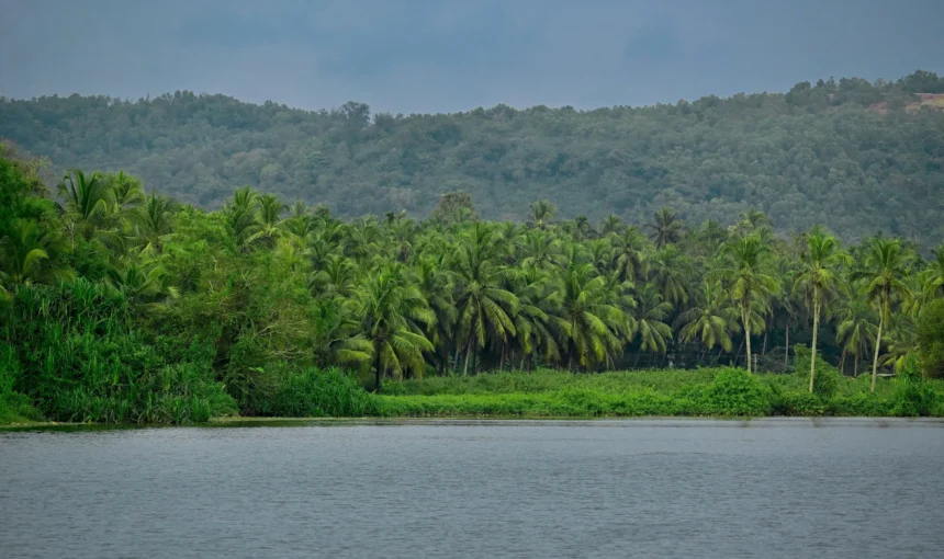 Kerala’s Rivers: The Waterways That Shaped Its Landscape and Life
